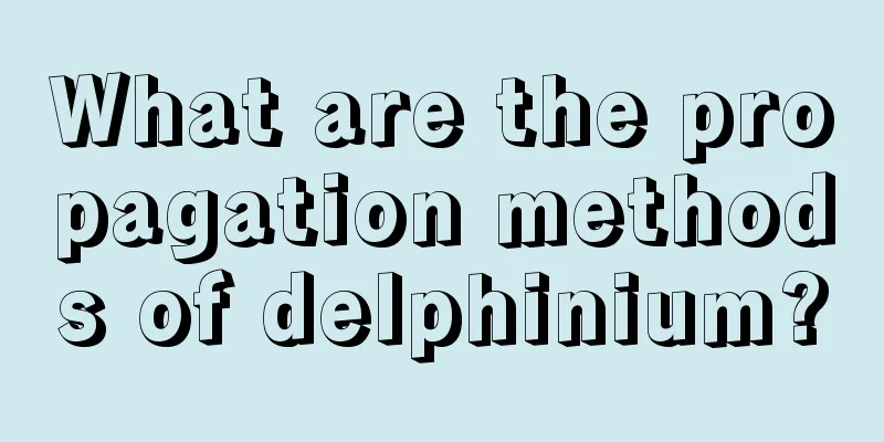 What are the propagation methods of delphinium?