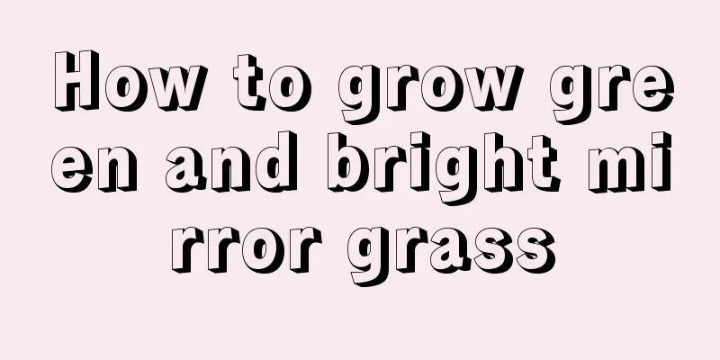 How to grow green and bright mirror grass