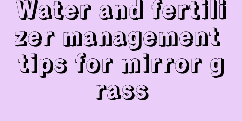 Water and fertilizer management tips for mirror grass