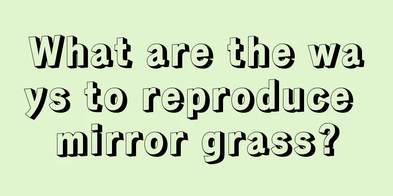 What are the ways to reproduce mirror grass?