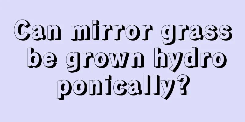 Can mirror grass be grown hydroponically?