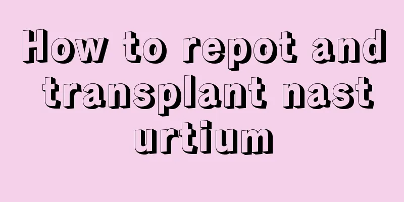 How to repot and transplant nasturtium