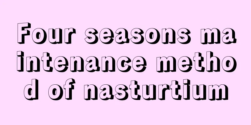 Four seasons maintenance method of nasturtium