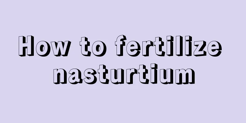 How to fertilize nasturtium