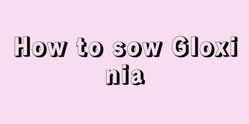 How to sow Gloxinia