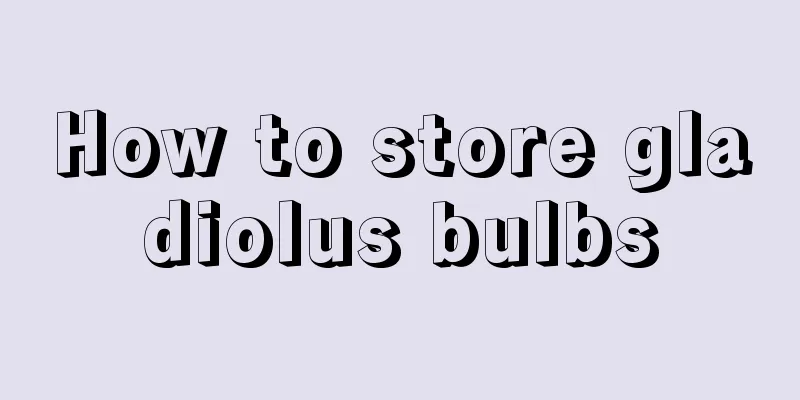 How to store gladiolus bulbs