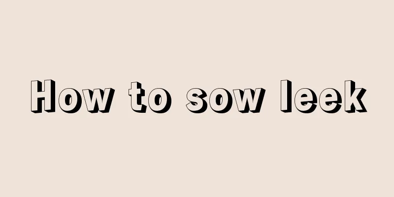 How to sow leek