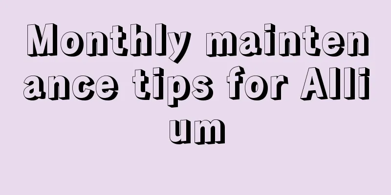 Monthly maintenance tips for Allium