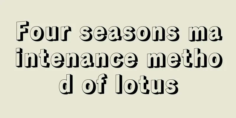 Four seasons maintenance method of lotus