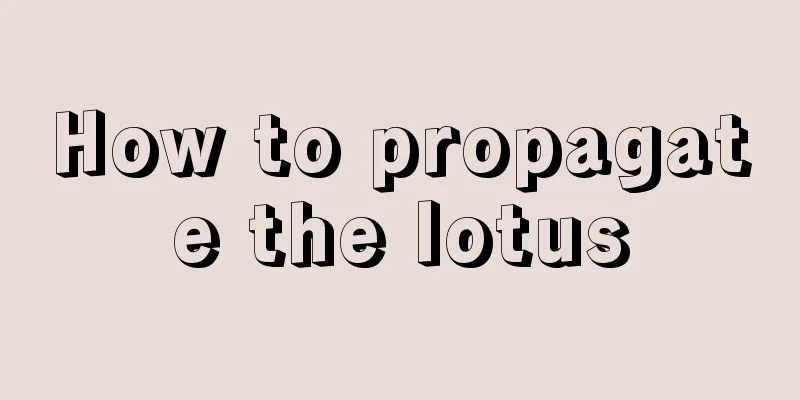 How to propagate the lotus