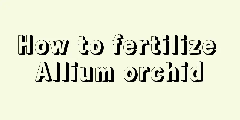 How to fertilize Allium orchid