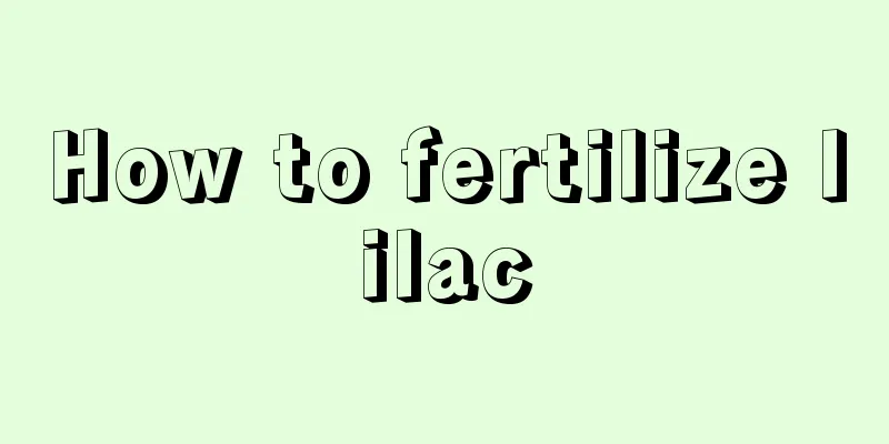 How to fertilize lilac