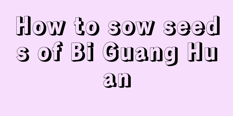 How to sow seeds of Bi Guang Huan