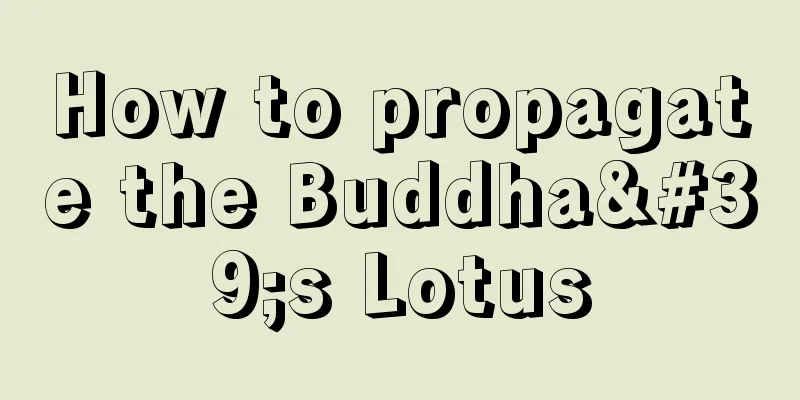 How to propagate the Buddha's Lotus