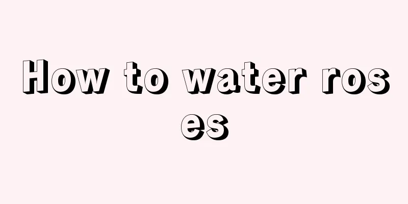 How to water roses