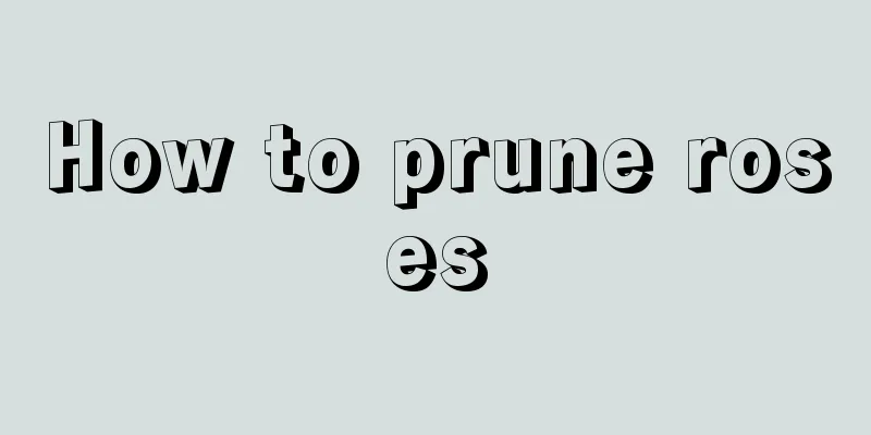 How to prune roses