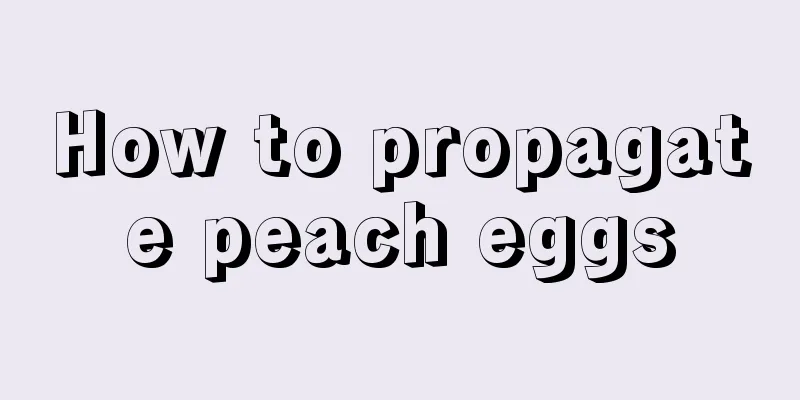 How to propagate peach eggs