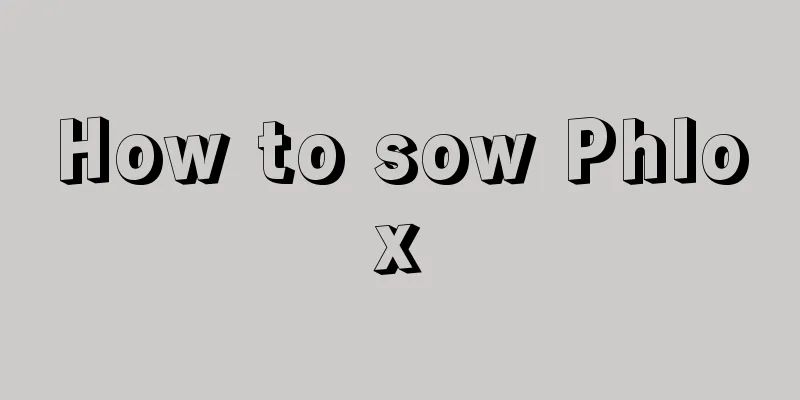 How to sow Phlox