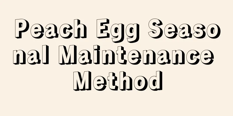 Peach Egg Seasonal Maintenance Method