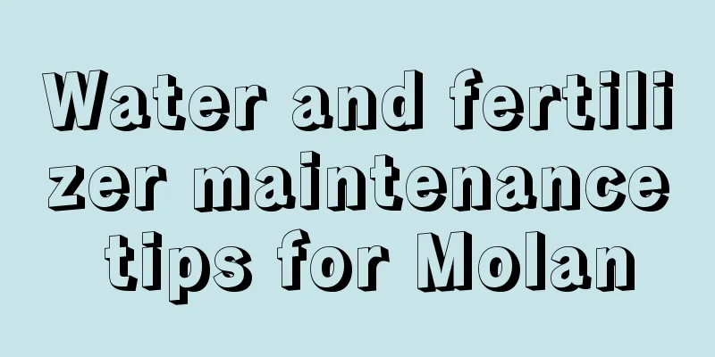 Water and fertilizer maintenance tips for Molan