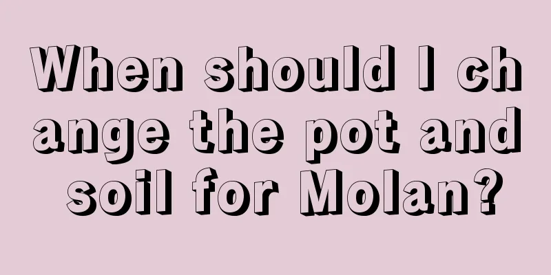 When should I change the pot and soil for Molan?