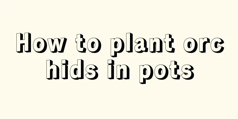 How to plant orchids in pots