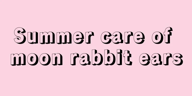 Summer care of moon rabbit ears