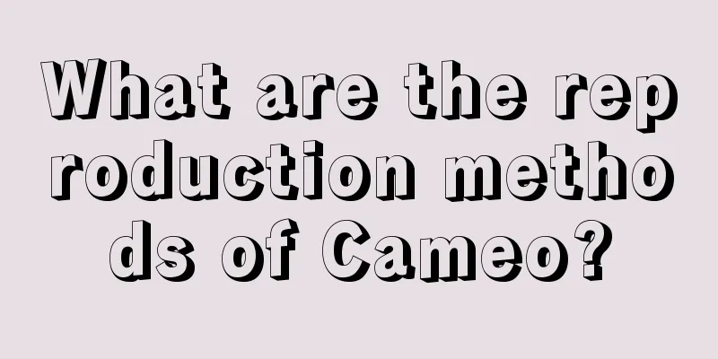 What are the reproduction methods of Cameo?