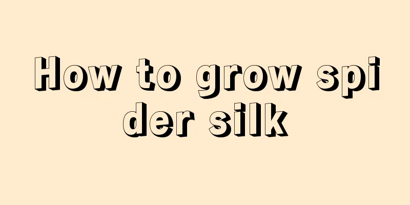 How to grow spider silk