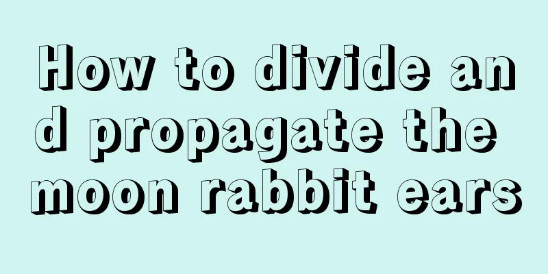 How to divide and propagate the moon rabbit ears