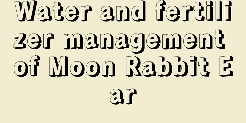 Water and fertilizer management of Moon Rabbit Ear