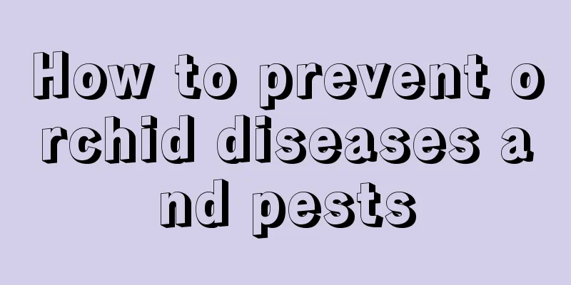 How to prevent orchid diseases and pests