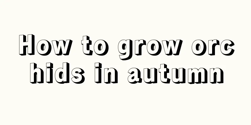 How to grow orchids in autumn