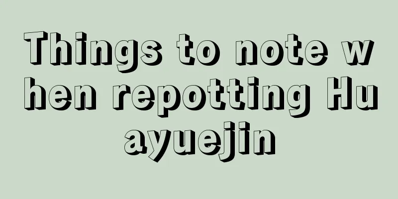 Things to note when repotting Huayuejin