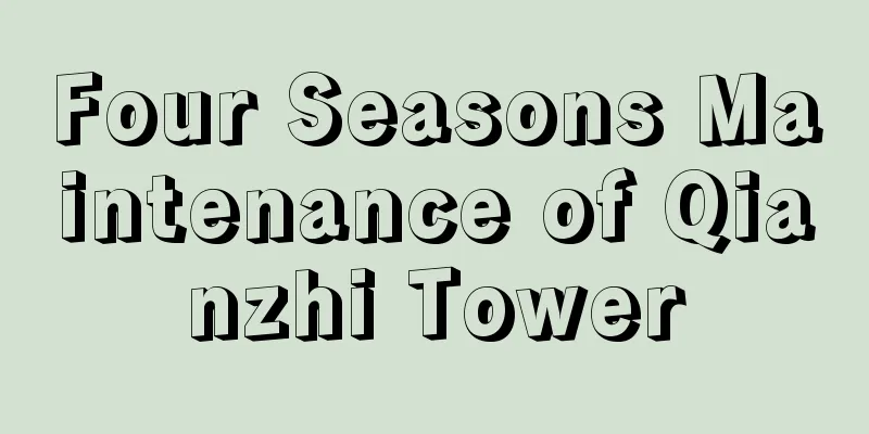 Four Seasons Maintenance of Qianzhi Tower