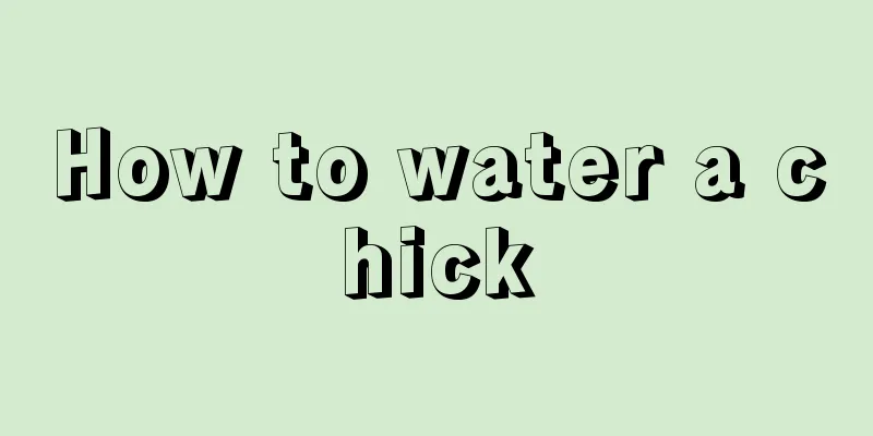 How to water a chick