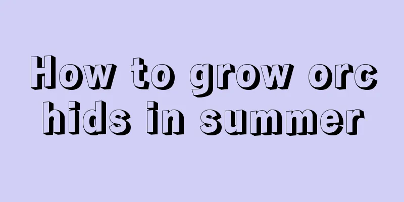 How to grow orchids in summer