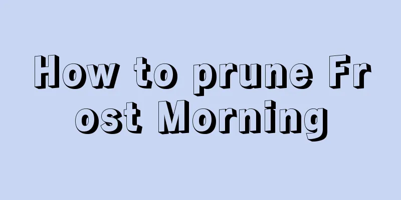 How to prune Frost Morning