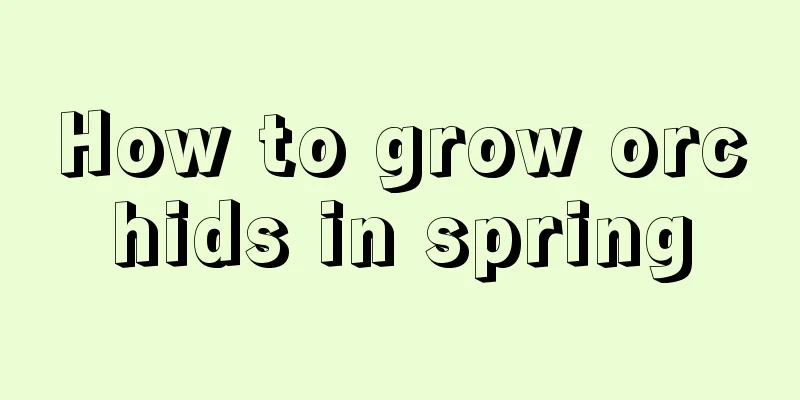 How to grow orchids in spring