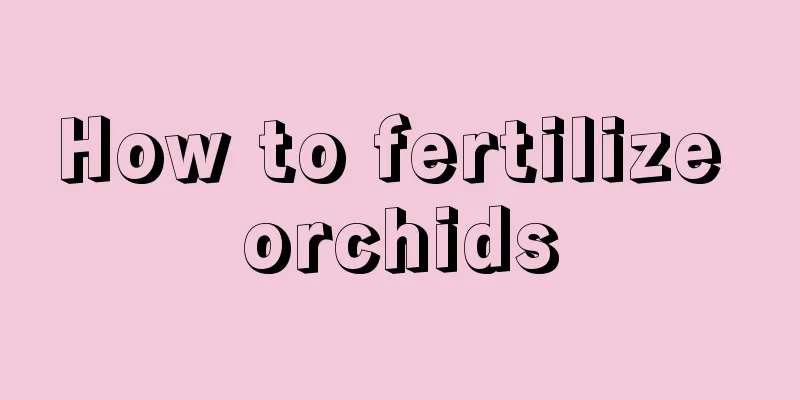 How to fertilize orchids