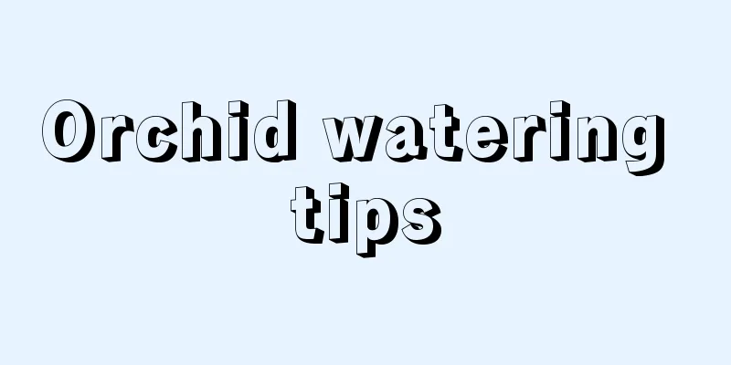 Orchid watering tips