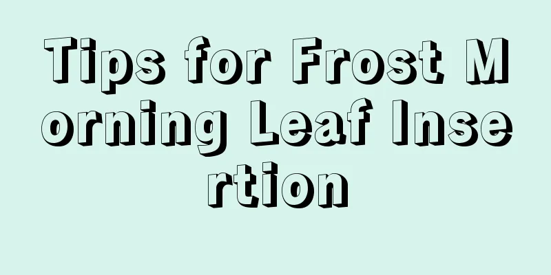 Tips for Frost Morning Leaf Insertion