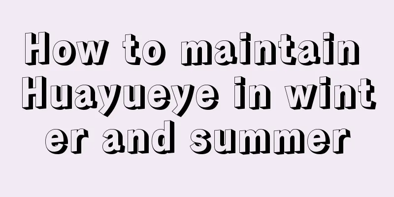 How to maintain Huayueye in winter and summer