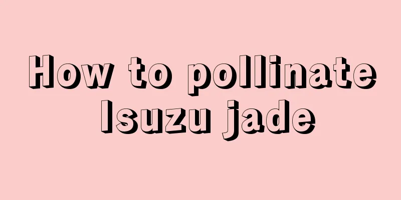 How to pollinate Isuzu jade