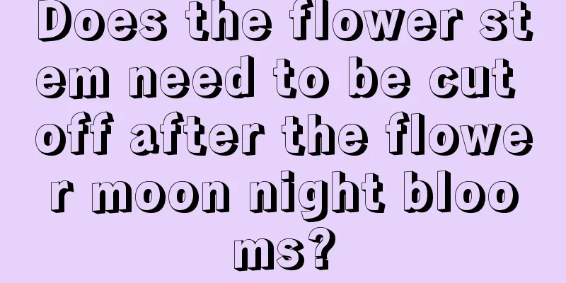 Does the flower stem need to be cut off after the flower moon night blooms?