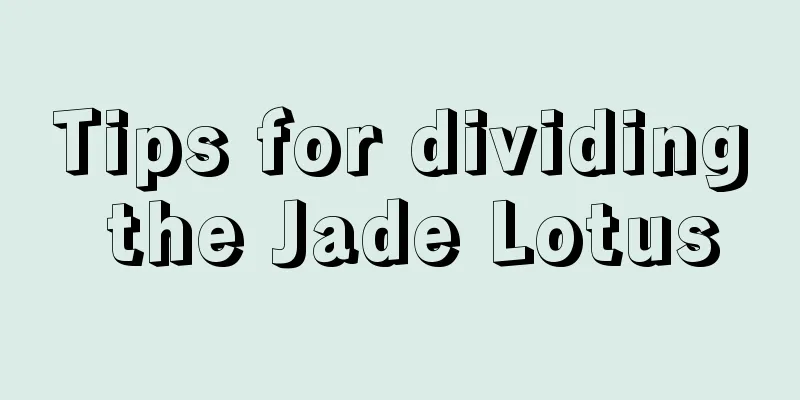 Tips for dividing the Jade Lotus