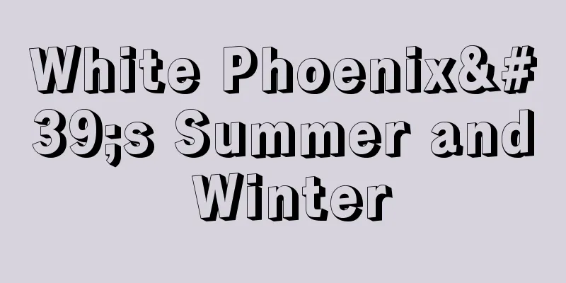 White Phoenix's Summer and Winter