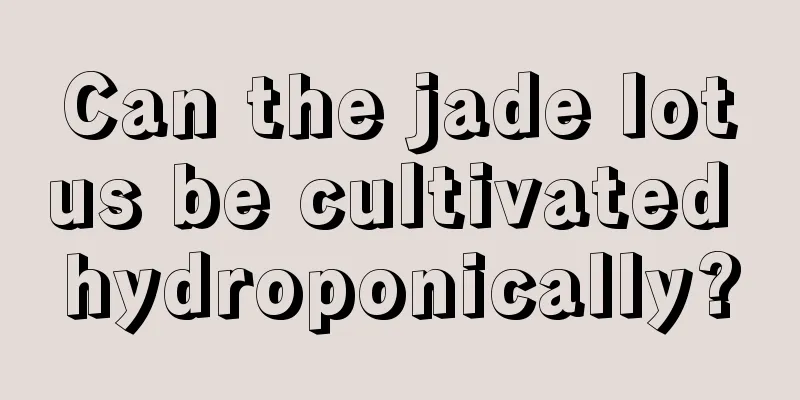 Can the jade lotus be cultivated hydroponically?