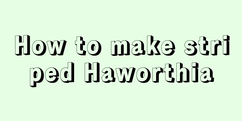 How to make striped Haworthia