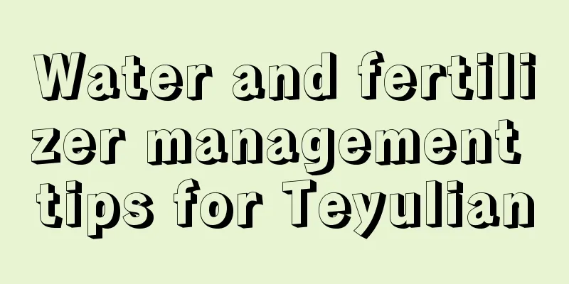 Water and fertilizer management tips for Teyulian